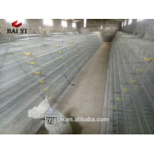 Good Price Used Quail Cages and Equipment For Sales